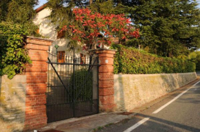 Гостиница B&B Luna di Langa  Альба